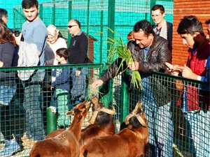 Giresun'da hayvanat bahçesine yoğun ilgi