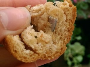 Ekmekten bakın ne çıktı!