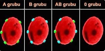 Bu kan grubuna sahip olanlara kötü haber!