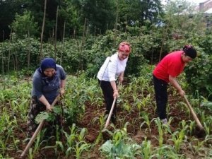En çalışkanı Karadeniz kadını