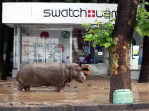 Tiflis, yaralarını sarmaya çalışıyor!