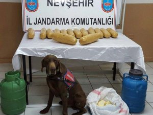 Peynir bidonlarının içinde esrar bulundu