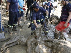 Komşuda kıyamet! Hiçbiri sağ çıkamadı
