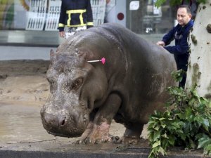 "O yağmur Trabzon’da  olsaydı felaket olurdu!"