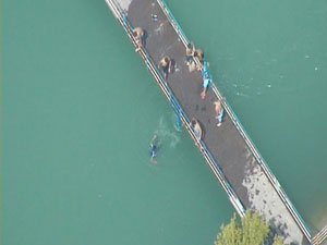 Polisten hava destekli operasyon! Bakın ne için