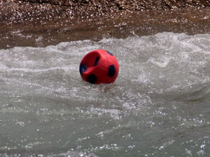 Peşinden koştuğu top sonu oldu