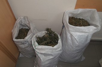 Şırnak'ta 190 kilo esrar yakalandı