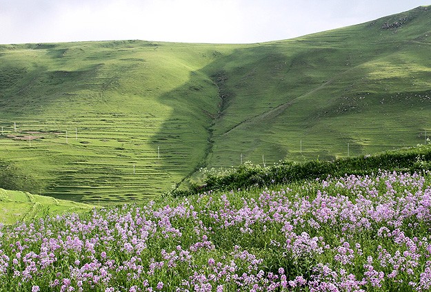 Ardahan'da 'Atatürk silüeti' görülmeye başlandı