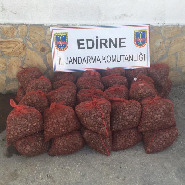 Enez’de 700 kilo kaçak midye ele geçirildi