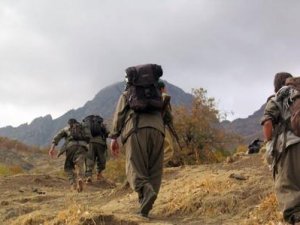 Yüksekova'da 1 kişi PKK'lılar tarafından kaçırıldı