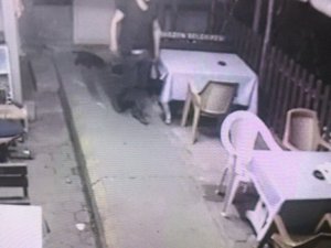 Trabzon'da 5 işletmeye giren hırsız yakayı ele verdi