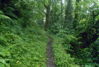 Yeşil yol tartışmaları sürüyor.