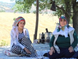 Hırsızlar genç kızın hayatını kararttı!