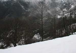 Rize'nin yükseklerine kar yağdı