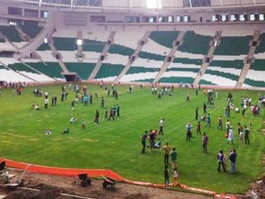 Timsah Arenada çim şoku