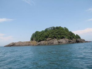 Karadeniz'in tek adasına turlar başlıyor!