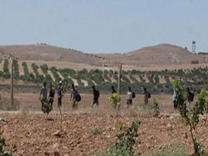 Suriye'den gelen kaçaklar yakalandı