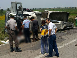 Vinç yüklü kamyon devrildi 1 ölü