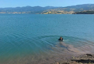 Serinlemek için girdiği baraj sonu oldu!