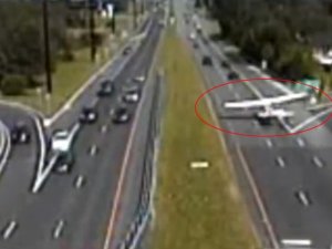 Otoyolda sürpriz konuk !