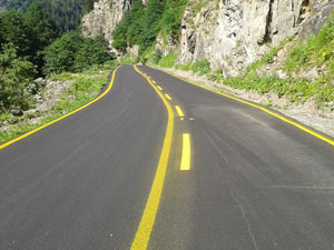 Yeşil Yol için imza kampanyası!