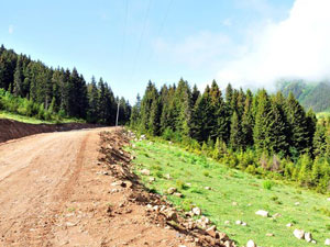 "Yeşil yol" kavgası büyüyor