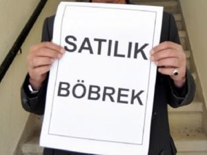 Sahibinden satılık böbrek!