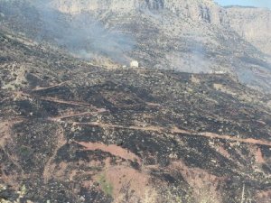 Cudi Dağı'ndaki yangın devam ediyor