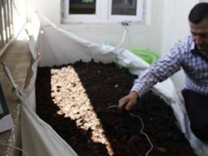 Balkonunda 70 bin solucan besliyor