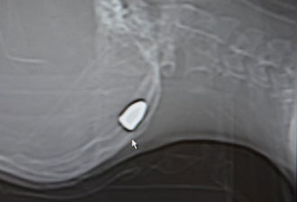 Magandalar iş başında: 13 yaşındaki çocuk!