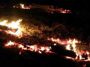 Bin dönümlük alan kül oldu