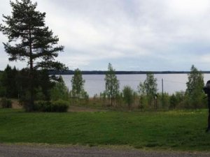 Bir euro'ya arsa! Bir şartla...