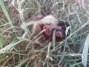 İşte ölü ele geçirilen DEAŞ'lı terörist