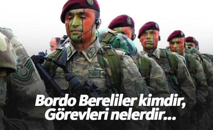 Bordo Bereliler kimdir, Görevleri nelerdir...