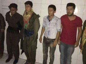 Hainler yakalanınca ağladılar!