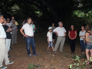 Giresun Adası'na ziyaretçilerden yoğun ilgi