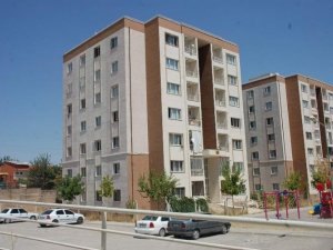 Ev sahibi kuşak geliyor