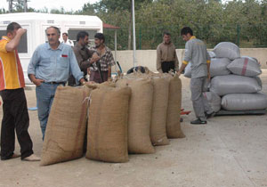 TMO fındık alımını sürdürüyor