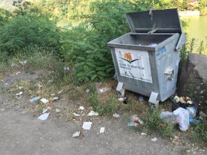 Bu çöpler gözünüze girsin!