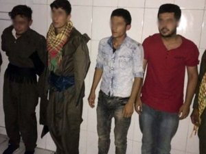 "Eyleme Değil Düğüne Gidiyorduk" Diyen Gençler Serbest Kaldı