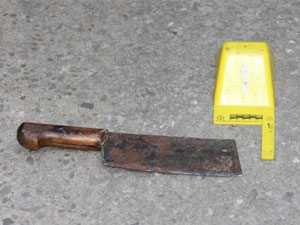 Kan donduran cinayet: Babasının...