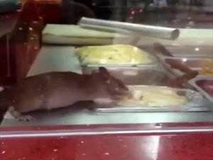 Yemekleri önce fare test etti