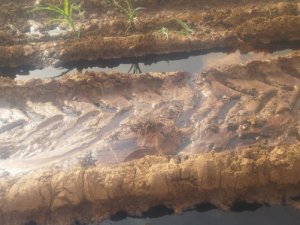 Petrol boru hattına saldırı