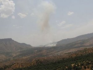 Hakkari Şemdinli'de yangın