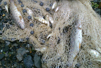 Balıkçıya avlanma ceza