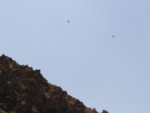 Hakkari’de yoğun hava hareketliliği