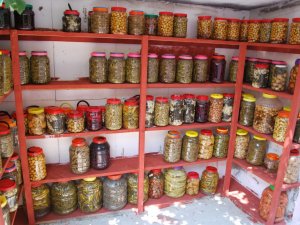 "Karadenizli tansiyona rağmen turşudan vazgeçmiyor"