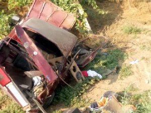 Otomobil üzüm bağına uçtu: 7 yaralı