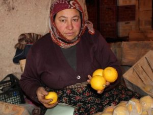 Fiyatı bir anda fırladı!! 8 liraya satılıyor