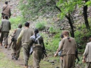 Hakkari ve Şırnak'ta 8 terörist teslim oldu